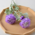 3-Head Ranunculus Purple