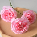 3-Head Martin Pink