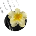Detailopname van een plumeria haarklem met geel verloop op een marmeren plaat - Kleurrijke Bloemklem [Citroengeel]
