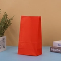 Rote Papiertüte aus Kraftpapier für Geschenke mit Büchern und Pflanzen dekoriert - Rot