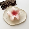 Pink gradient frangipani hair claw clip with a glossy finish on a ceramic tray - Large / Gradient Pink White