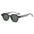 Gafas de sol poligonales retro con montura gris transparente y patillas onduladas - Gafas de Sol Poligonales / Montura Gris Transparente Lentes Verde Oscuro