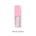 Hydrating mirror lip glaze in bird of paradise pink shade with a glossy finish - 1Bird of Paradise (Blue)
