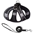 Black breathable mesh pet harness and leash set with reflective trim for night safety - Black Mesh