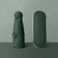 Mini paraguas verde oscuro con funda rígida de transporte y mango esférico compacto - Solo paraguas (Sin caja) / Verde oscuro (Estándar)