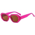 Gafas de sol poligonales futuristas rosas con cristales marrones y remaches de plata - Rosa Rojo