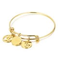 Adjustable gold titanium Capricorn constellation bracelet with engraved charms - Gold Capricorn (KB88098-Z)