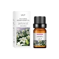 Huile d'aromathérapie polyvalente au parfum de lys de 10ml en flacon en verre brun avec boîte - Lys
