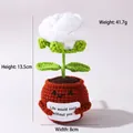 Handmade crochet positive potato potted plant ornament with smiling face 13.5cm height - Positive Potted-White Rose