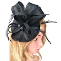 Elegant black feather fascinator hat with mesh veil shown from a side profile view - Black