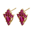 Macro detail of gold-plated stud earrings with micro-set rose red zircon floral design - Gold Red Zircon Flower