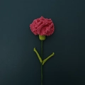 Handgehäkelte rosa Nelke mit grünem Strickstiel als Geschenk zum Muttertag - Nelke im Spitzenstil / Rosarot