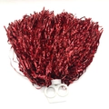 Close-up of vibrant red metallic foil cheerleading pom pom with white plastic handle - Double-buckle 20g Bright Red (general Density Suitable For Kindergarten And Primary School Students)