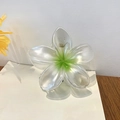 Elegant frangipani flower hair claw clip in gradient white and green resin finish - Green 8CM