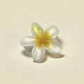Tropical white and yellow plumeria flower hair claw clip with a glossy resin finish - 8x7x4cm / Pearlescent Yellow
