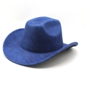 Classic royal blue western cowboy hat with brushed texture and curved brim for men and women - M (56-58cm) / Brushed Texture Blue