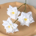 3-Head Rose White