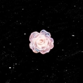 Pink resin camellia stud earring with glitter finish against a starry background - Rose Pink (A907-7#)