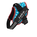 Customized dog harness featuring a patriotic American flag design with a personalized name tag - Blue Star