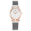 Montre à quartz pour femme avec boîtier or rose, bracelet en maille argent et cadran fleuri - Argent