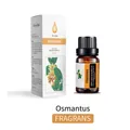 10ml Osmanthus scented essential oil bottle with white packaging for humidifiers - Fragrans