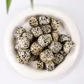 Pietre di diaspro dalmata naturale lucido esposte in un piatto di ceramica bianca - Diaspro dalmata / 100 g