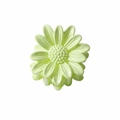 Matte light green daisy flower hair claw clip with a sweet small daisy design - 4cm Glossy Light Green