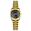 Detailed front view of gold steel watch with black dial and diamond-set markers - Small Gold Black Dial