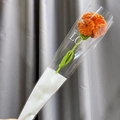 Oranje Anjer