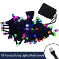 F8 frosted multi-color LED string lights with battery box and black wire decoration - F8 Frosted Multi-color (OPP Bag) / 9.5M 100LED