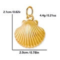 Golden stainless steel seashell charm with precise size measurements in 2.1cm height - Shell / Gold