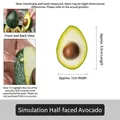 Artificial half avocado model with realistic green skin and seed for display decoration - Avocado-Half Cut