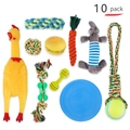 10-piece pet dog chew toy set featuring cotton ropes, rubber chicken and squeaky toys - 10-Piece Set (B91120)
