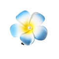 Blue and yellow frangipani flower hair clip with pearl center on white background - Pearl Style / 8cm / Blue
