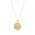 Vintage 18K gold coin flower necklace with zircon stone on a brushed finish pendant - December - Holly