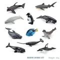 Set of 10 realistic marine animal models including orca shark and penguin toys - Marine Animal Set 80g(BL-10080)