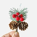 Detail eines Weihnachts-Kiefernweigs mit Tannenzapfen und roten Beeren für Feiertage - Weiß Gebürstet Rote Beere Kiefernnadel