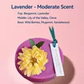 Lavendel Duftwachs-Tablette mit gelben Trockenblumen und grünem Band für Schrank - Standardpaket / Lavendel