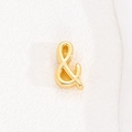 Detail view of a 10mm golden ampersand charm for adjustable mesh steel bracelets - Ampersand