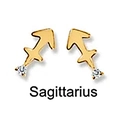 Golden S925 sterling silver Sagittarius zodiac stud earrings with sparkling crystals - Sagittarius