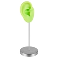 Detail of light green silicone ear model on a silver metal stand for jewelry display - Right Ear / Green
