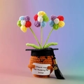 Handmade crochet 2025 graduation plant pot with colorful flowers and thank you sign - Graduation Cap Puff Flower Multi-color