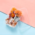 Close-up of dried flowers in a transparent box for DIY botanical crafts projects - Tropical Orange