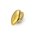 Makroaufnahme eines goldenen Hip-Hop-Zahnaufsatzes mit poliertem, spitzen Design - Einzelner Goldener Reißzahn