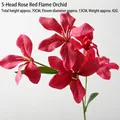 5-Head Flame Orchid Rose Red