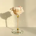 Artistic shell sculpture on crystal base with gold stem for luxury home decor - Starry Sky Gold Red Murex