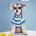 Blue and white striped pet POLO shirt for small dogs with collar and button details - Blue Stripe