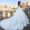 White long sleeve V-neck lace wedding dress with a deep open back and long royal train - White With Train