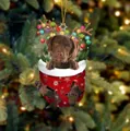 Weihnachtssocken-Anhänger mit Labrador-Welpen und Rentiergeweih am Tannenbaum - Brauner Labrador