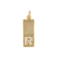Macro detail of gold rectangular pendant with zircon letter R on white background - Letter R